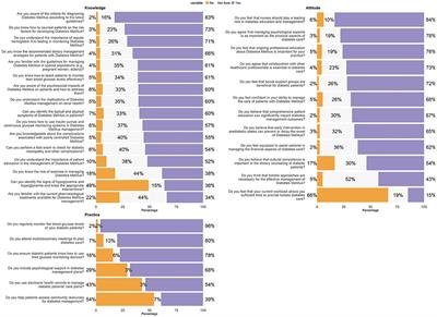 Assessing perceptions of nursing knowledge, attitudes, and practices in diabetes management within Chinese healthcare settings